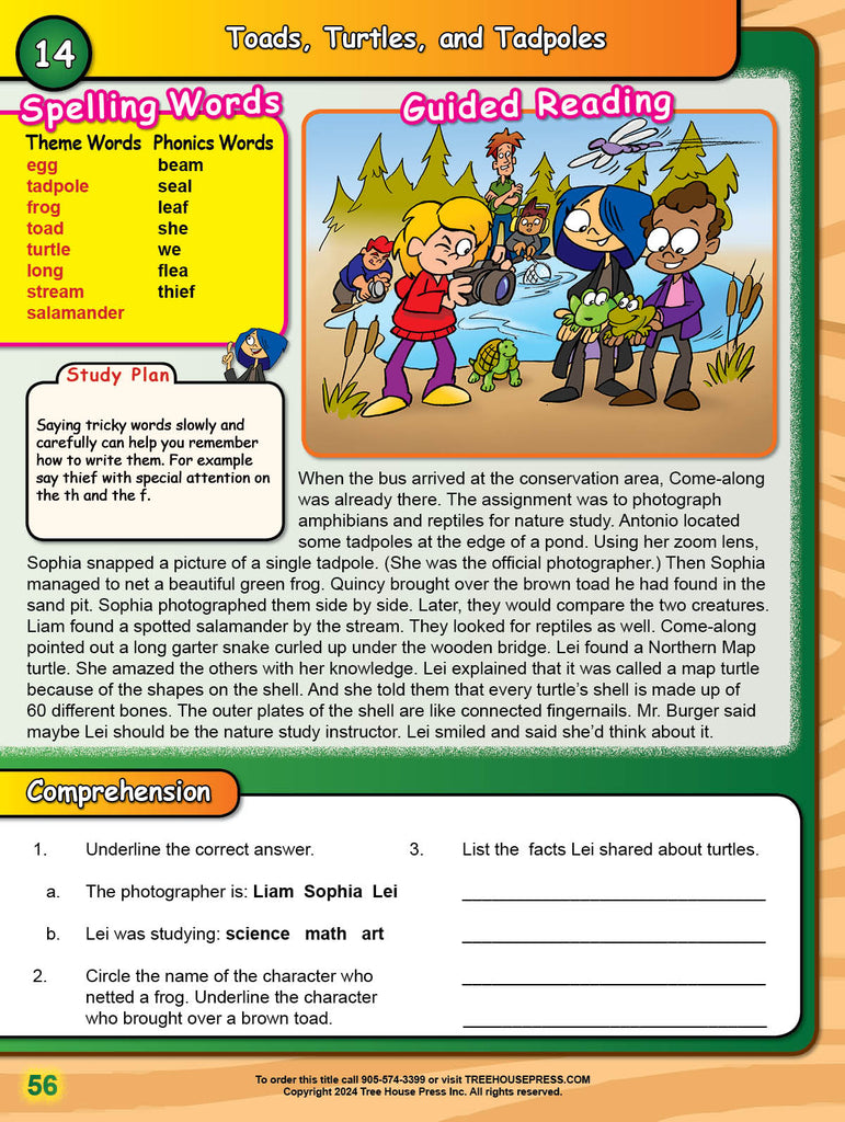 Language Programs Gr5 (Download)