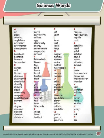 Image of My Personal Word Book Level B