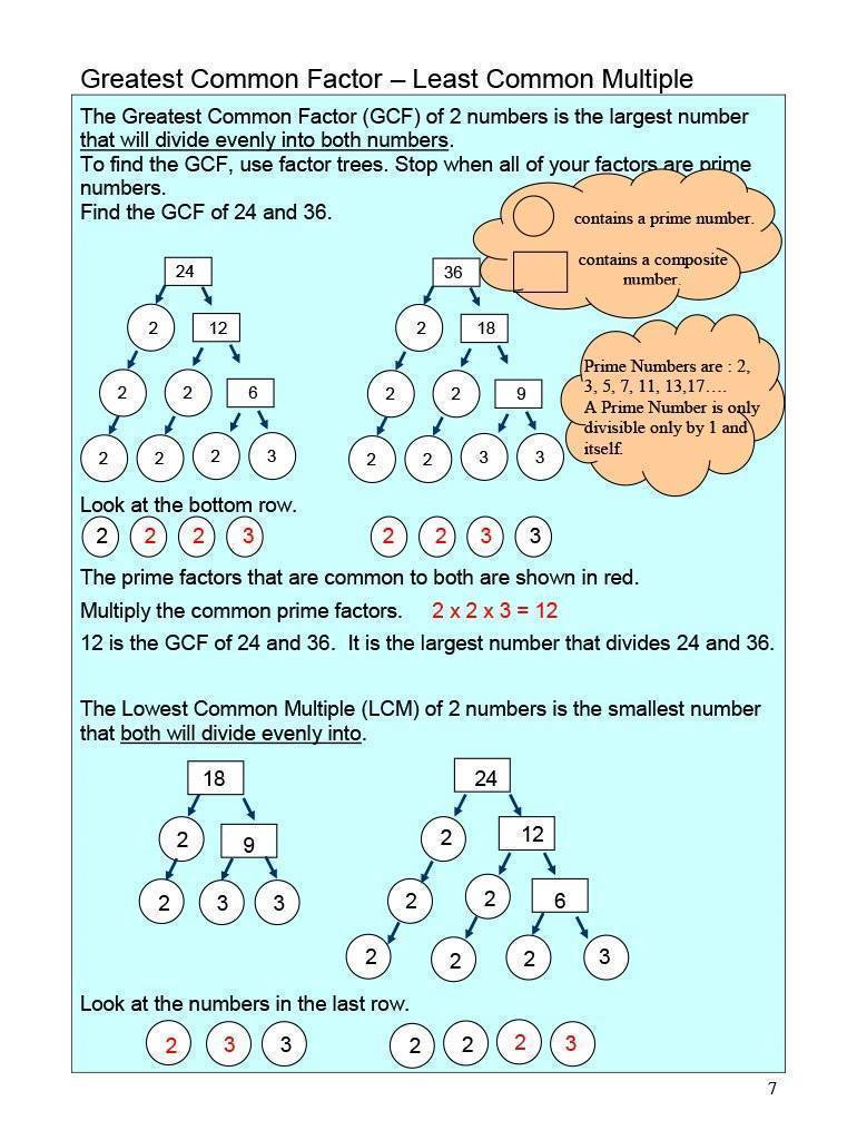 Ontario Math 8 – TREE HOUSE PRESS