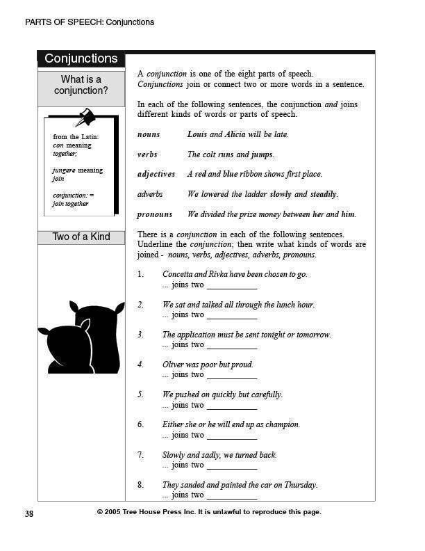 Grammar Essentials (Download)
